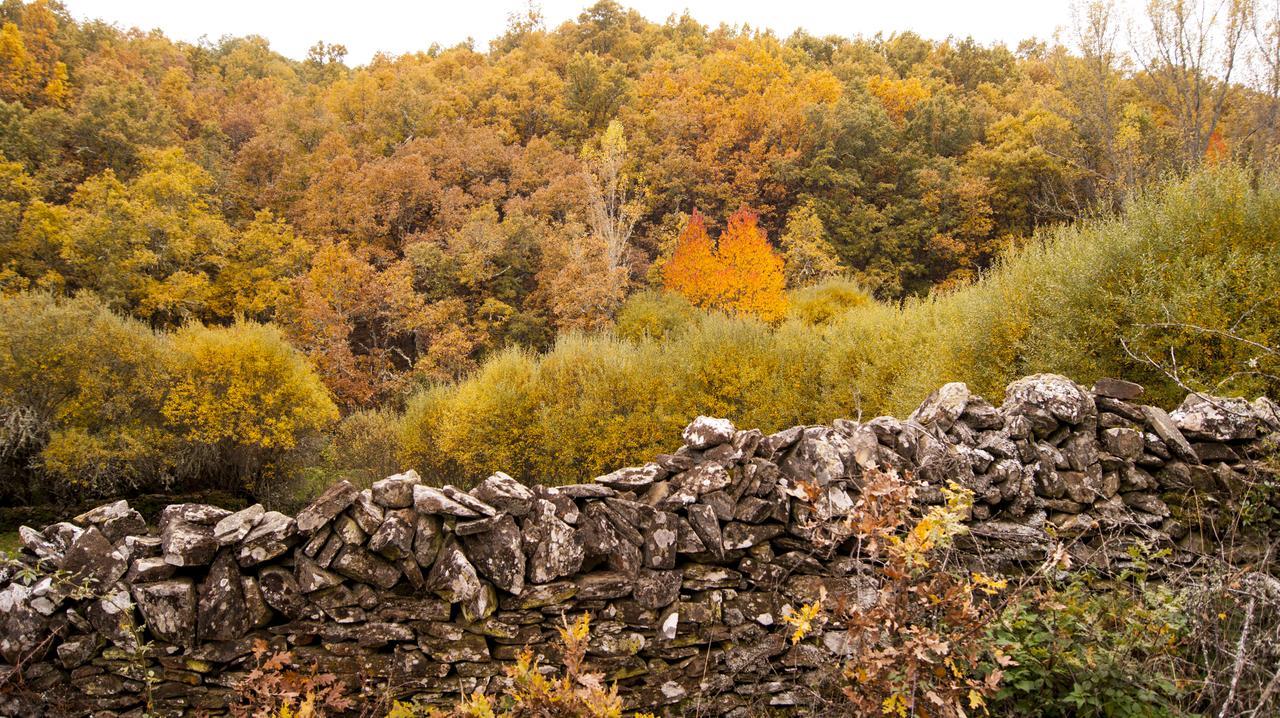 Hotel Rural Las Campares Callejo de Ordas Екстер'єр фото