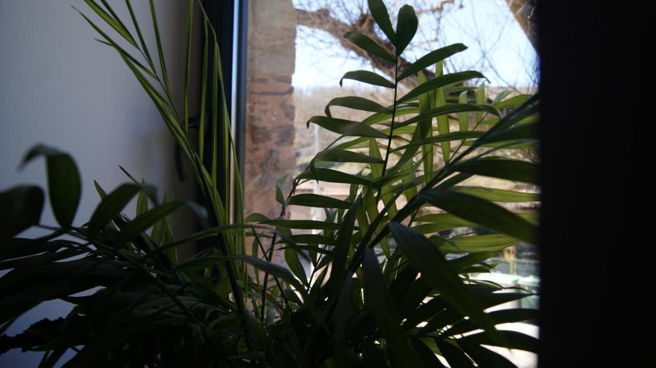 Hotel Rural Las Campares Callejo de Ordas Екстер'єр фото